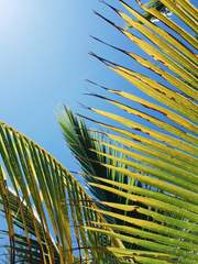 잘 알지 못하고