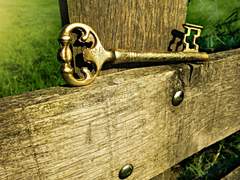 낭만속의 선지자