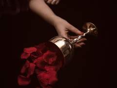 신들이 버린 언덕에는.