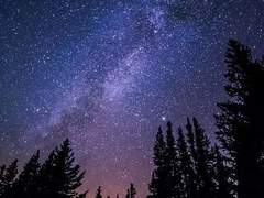 ASTINA, slave of life.