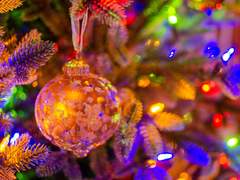 [장경고윤] 성탄전야 1