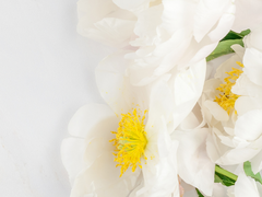 草木怒生 (초목노생) - 上