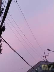 지하 1층 단편관