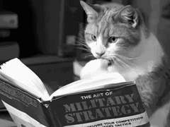 사람들은 왜 비문을 좋아할까