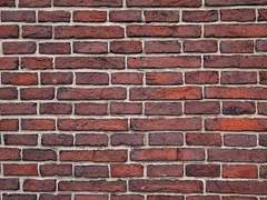 솔직함의 이야기