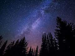 메자캐 아이리스(애버너) 설정