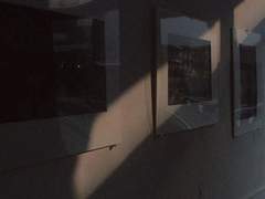 듣는 이 없는 고백