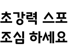 저택의 주인 연성