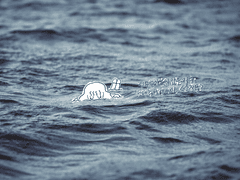 바다에 빠지지 않도록