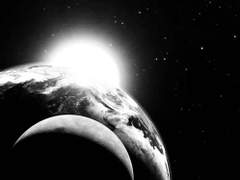 날지 못하는 것이 개의 불행은 아니다 九