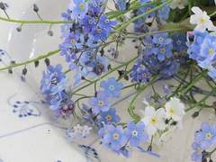 [유 세희/2학년/육상부/1]