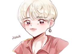 세븐틴 무언가의 그림들