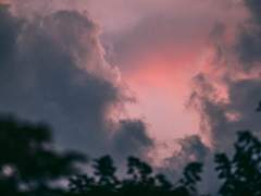 [태랑승기] 12월의 여름