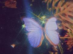 무수히 많은 별들 속에서도