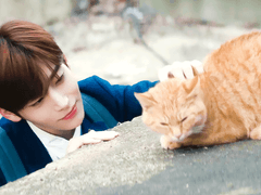 割れんばかりの拍手も響き渡る歓声も要らない