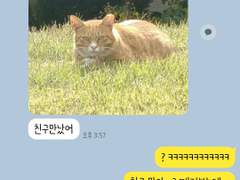 [앙스타 카톡 카피페] 38