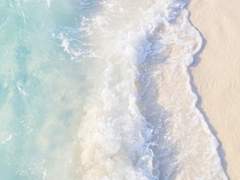 이 청해 자소서