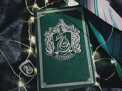 슬이데린 썰 백업