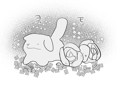 코코란 로그 정리