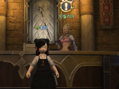 새싹의 파판일기 5