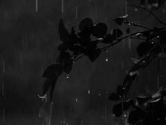 갑과 을의 사랑