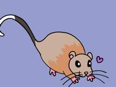 41. 멸종된 줄 알았던 쥐