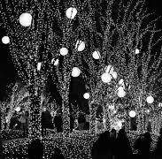 크리스마스에는