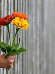 HQ!_nameless dream - Backup