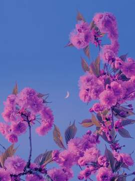 [믾황] 내 사랑하는 동생에게