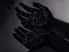 추격의 미학_프로필.