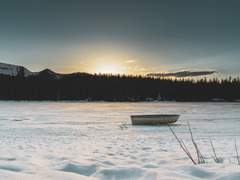 글쎄요, 기억 안 나는데요.