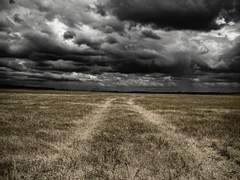 “악마들의 영역이니까!”