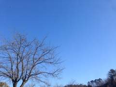 실연失戀 by 이도경