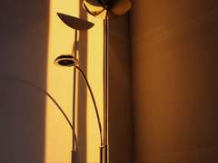 철 창살에 그을린 햇빛을 봐.