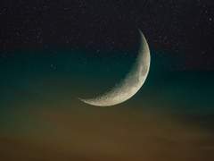 [아르테미스 이야기] 생명을 사랑한 죽음