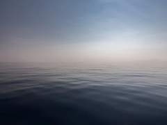 영원한 나의 승리를 위해서.