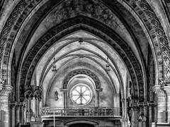 선사하신다면야.