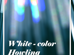 《White-color Howling》20.12.22. TRPG 로그 백업