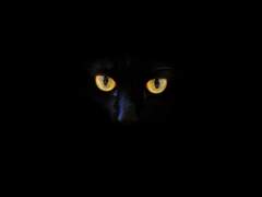 [GL] 끝나지 않는 집착