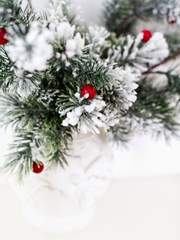 2020 겨울호 린디