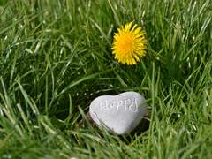 [유키] 2020.12.24 HAPPY BIRTHDAY