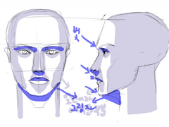 인체 도형화 - 얼굴