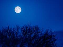 ...마음에 들었으면 좋겠어요.