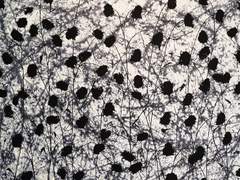 [KV] Les Fleurs du mal - 02