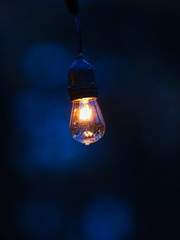 Lato 개인작 시리즈