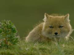 함부로 앙큼하게 2