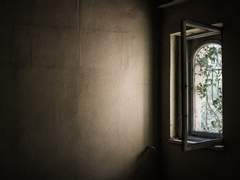 비에 젖지 않는 그림자