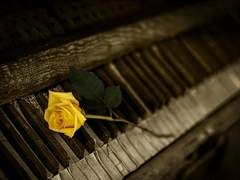 [하나달수] 독차지