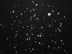 마테올로 징크스