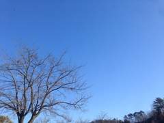 마검(魔劍)이야기